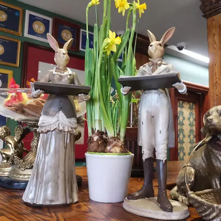 Hotell Alex Maja Parnu