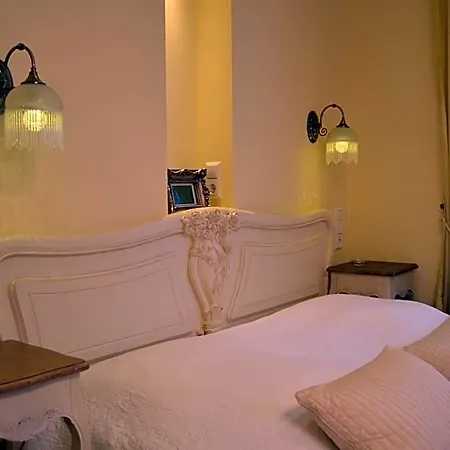 Hotel Alex Maja 3*